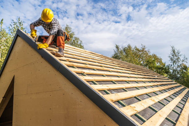 Best Metal Roofing Contractor  in Chadbourn, NC